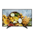 Monitor LED Full HD de 43