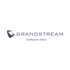 Certificación Oficial Grandstream para Implementación de Conmutadores IP