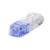 Plug RJ45 Cat6, Para Cable UTP de Calibre 23-24 AWG, Chapado en Oro de 50 micras, Bolsa de 100 piezas