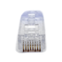 Plug RJ45 Cat6, Para Cable UTP de Calibre 23-24 AWG, Chapado en Oro de 50 micras, Bolsa de 100 piezas